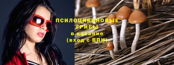 соль ск Абаза