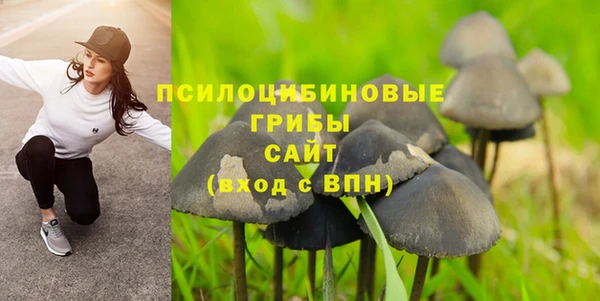 кокс Алексин