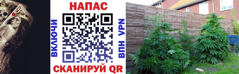 Канабис THC 21% Серпухов